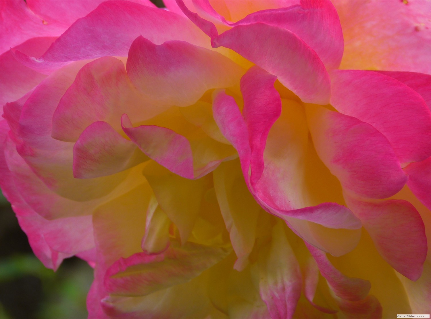 P1140294b