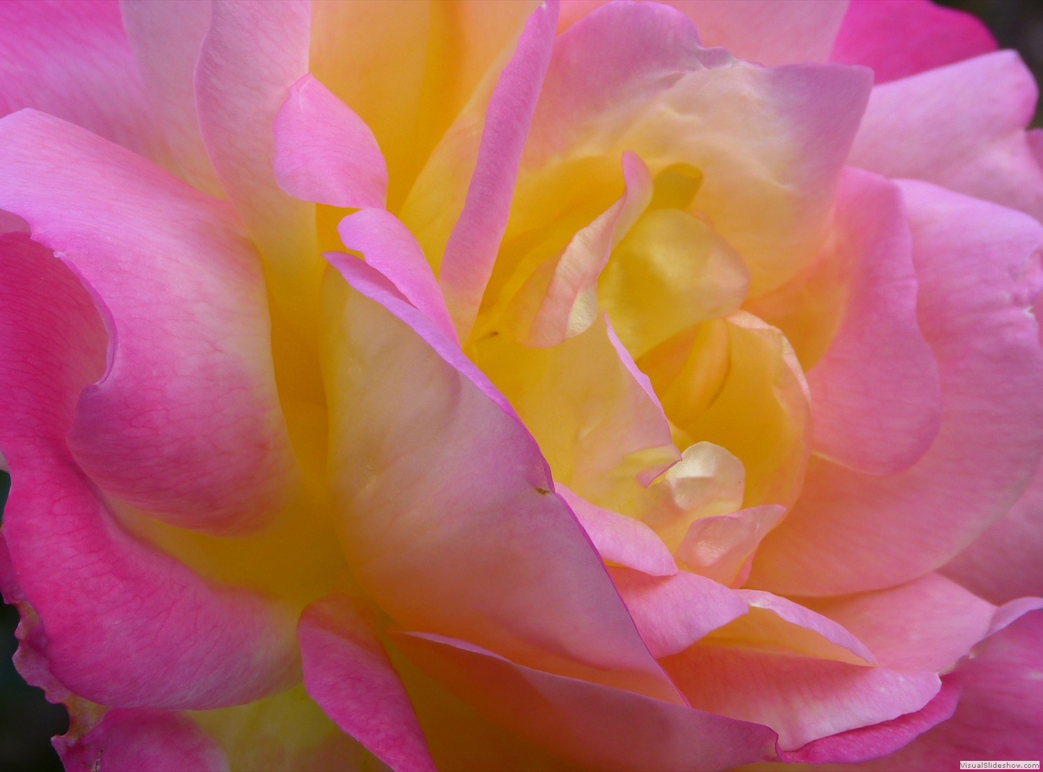 P1140298b