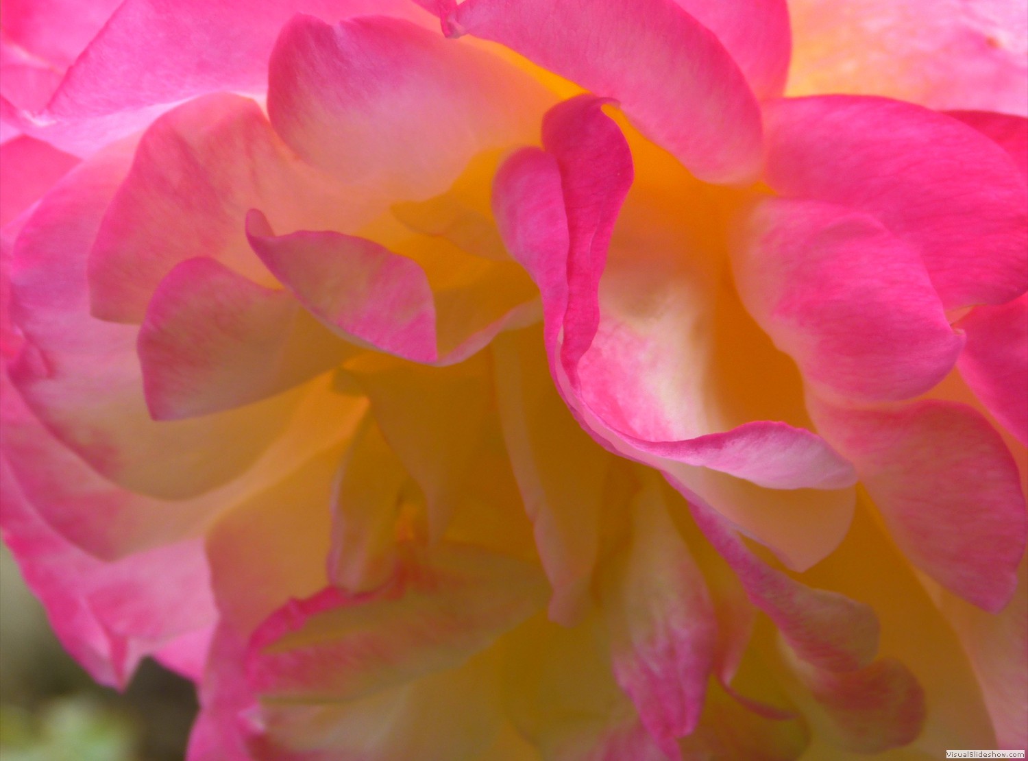 P1140323b
