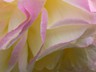 P1130771b