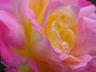 P1140298b
