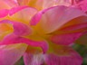 P1140325b